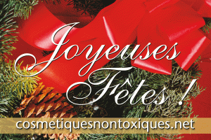 Voeux_Sylvie_2015_Page1