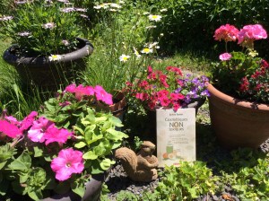 Fichier 16-06-24 12 46 32